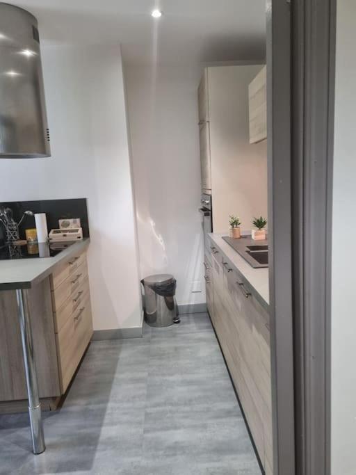 L'ourse, Epinal,tres Bel Quartier Port Appartement
